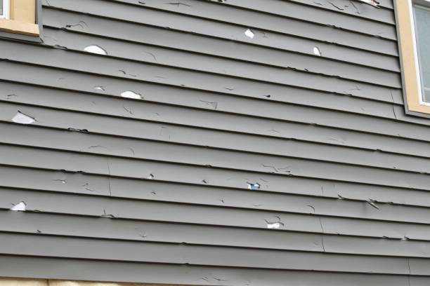 Best Fascia and Soffit Installation  in Madison Park, NJ