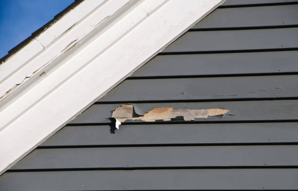 Best Storm Damage Siding Repair  in Madison Park, NJ
